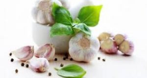 właściwości zdrowotne czosnku